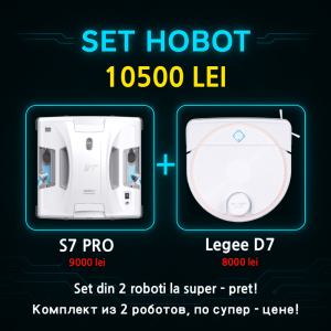 Produs Hobot Moldova